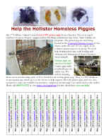HollisterPosterImage.jpg (352654 bytes)