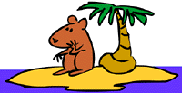 Cartoon graphic of a single lonely looking guinea along on a desert island